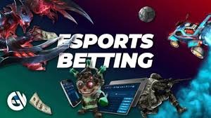 tg555 bet